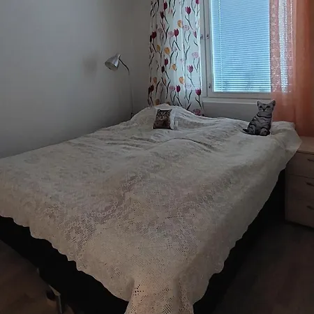 Appartement Rauhallinen Joensuun Laehellae *