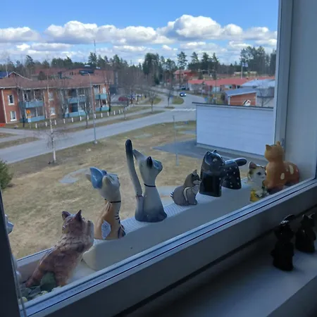 Rauhallinen Joensuun Laehellae *