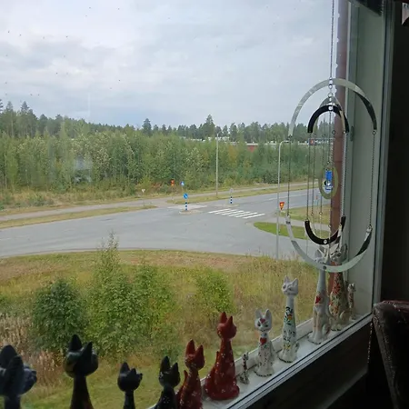 Rauhallinen Joensuun Laehellae Apartment